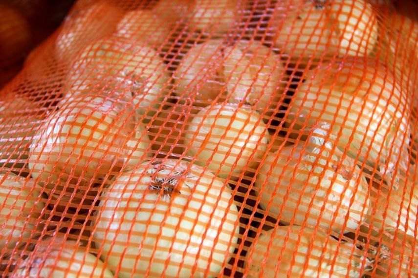 MIDA aprueba importación de cebolla para el resto del año