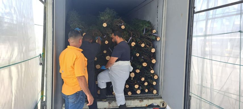 El personal de la Unidad de Cuarentena Agropecuaria del MIDA en Colón realizó esta inspección minuciosa de estos contenedores que han salido en buenas condiciones.