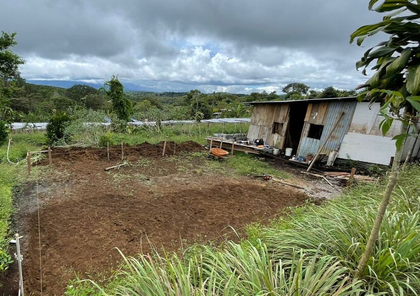 MIVIOT comienza trabajos en viviendas de Renacimiento