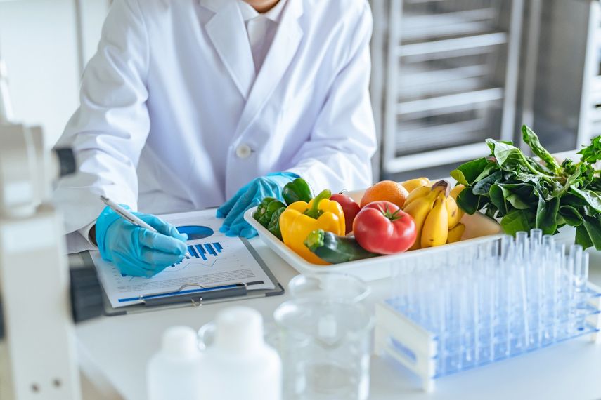 Panamá: Seguridad alimentaria y sostenibilidad, retos que enfrentan proyectos agrícolas Panamá: Seguridad alimentaria y sostenibilidad, retos que enfrentan proyectos agrícolas