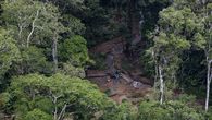 oro en el darien: el complejo sistema ilicito del clan del golfo que panama quiere romper oro en el darien: el complejo sistema ilicito del clan del golfo que panama quiere romper