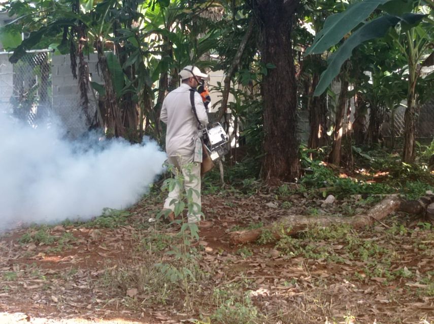 MINSA: 1, 945 casos por dengue en el año 2021