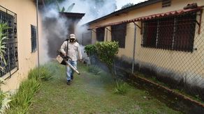 El Minsa insistió en la necesidad de eliminar de locales, patios y servidumbres, cualquier reservorio de agua que pueda servir de criadero al mosquito aedes aegypti causante del dengue.