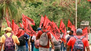 Mitradel: Trabajadores en huelga que incumplan podrían perder salario o ser despedidos