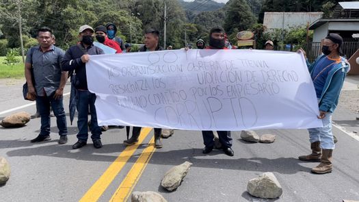 Se estima que el sector de Tierras Altas abastece en un 90% la alta demanda de consumo nacional.