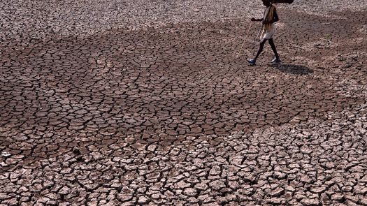 FAO alerta sobre degradación de suelos y agua