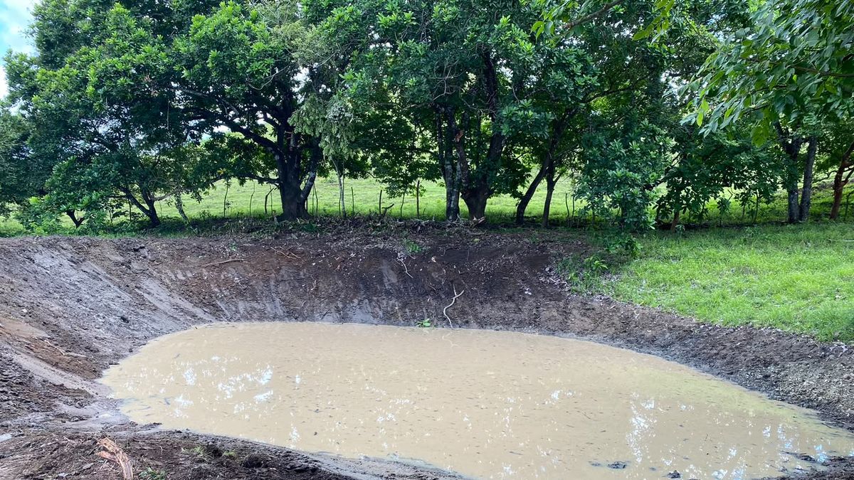 El Ministerio de Desarrollo Agropecuario (MIDA) puso en marcha una serie de acciones para enfrentar la variabilidad climática y el fenómeno de El Niño, mediante una estrategia que combina infraestructura, asistencia técnica e innovación para fortalecer la seguridad hídrica y alimentaria de los pequeños productores en las zonas más vulnerables del país. El Ministerio de Desarrollo Agropecuario (MIDA) puso en marcha una serie de acciones para enfrentar la variabilidad climática y el fenómeno de El Niño, mediante una estrategia que combina infraestructura, asistencia técnica e innovación para fortalecer la seguridad hídrica y alimentaria de los pequeños productores en las zonas más vulnerables del país.