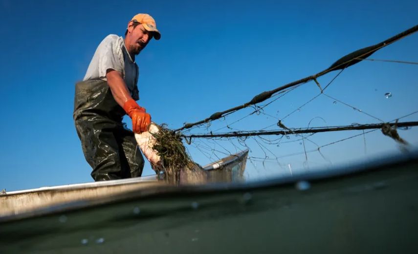 Panamá: UE exige más regulaciones en materia de pesca