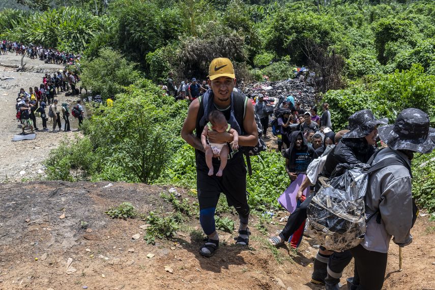 Más de 266 mil migrantes han cruzado la selva del Darién en lo que va del 2024. Más de 266 mil migrantes han cruzado la selva del Darién en lo que va del 2024.
