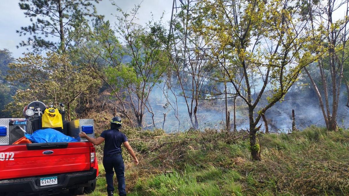 Un total de 2,947 emergencias por incendios de masa vegetal ha atendido el Benemérito Cuerpo de Bomberos de la República de Panamá (BCBRP) en lo que va del año, una cifra que refleja el impacto y la frecuencia de este tipo de incidentes a nivel nacional. Un total de 2,947 emergencias por incendios de masa vegetal ha atendido el Benemérito Cuerpo de Bomberos de la República de Panamá (BCBRP) en lo que va del año, una cifra que refleja el impacto y la frecuencia de este tipo de incidentes a nivel nacional.