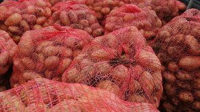 Comarca Ngäbe Buglé cosecha papas por primera vez