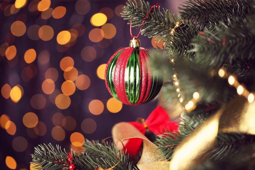 Panamá inicia la Navidad con el encendido del árbol de la Ciudad de las Estrella