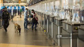 Perú refuerza vigilancia para impedir ingreso de cepa británica de coronavirus