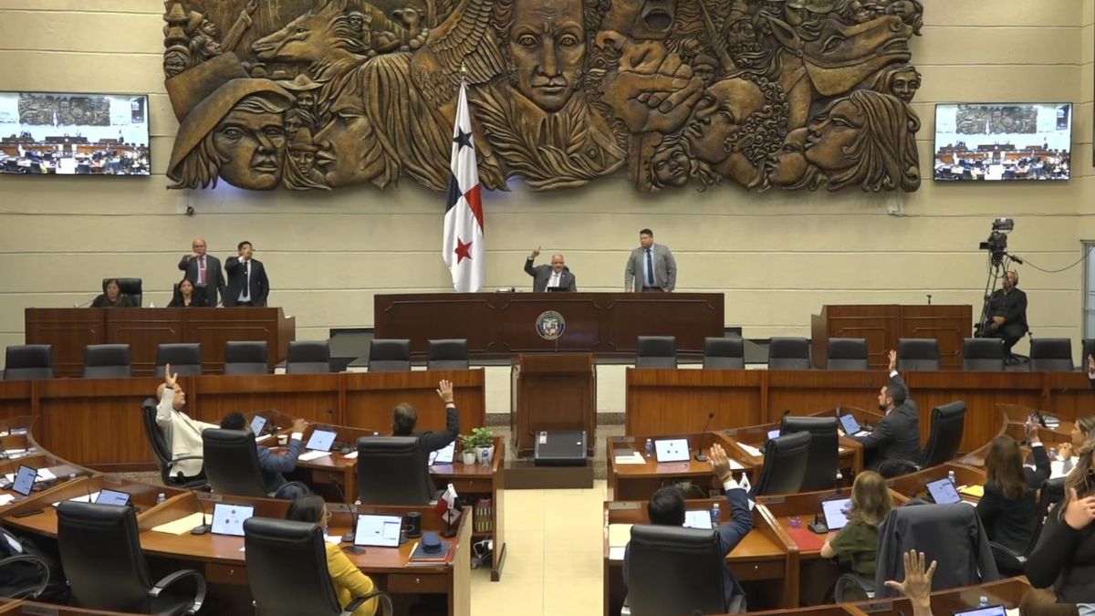 La Asamblea Nacional aprobò por mayoría la suspensión.