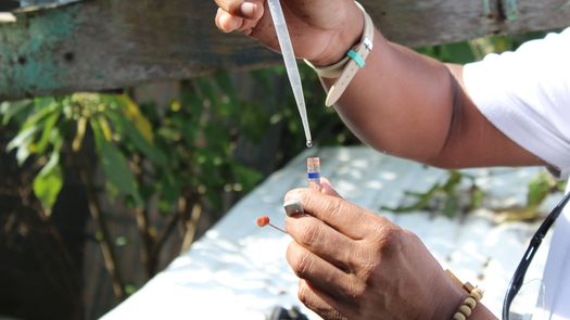 Panamá reporta 13,844 casos de dengue y 23 defunciones a la fecha Panamá reporta 13,844 casos de dengue y 23 defunciones a la fecha