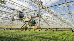 Arranca proyecto dirigido a fortalecer la agroindustria