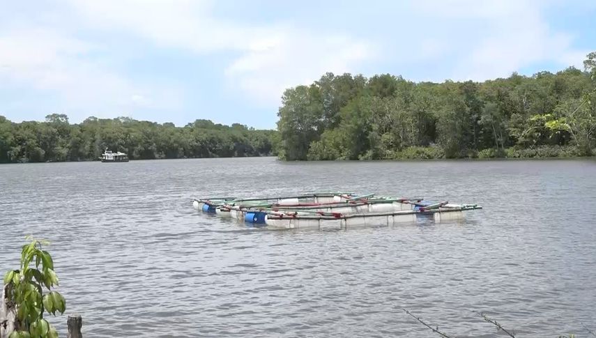 Pescadores de Pedregal comenzarán con la siembra de peces