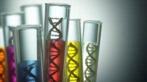 Terapia genética se posiciona contra cánceres de sangre y sistema inmune