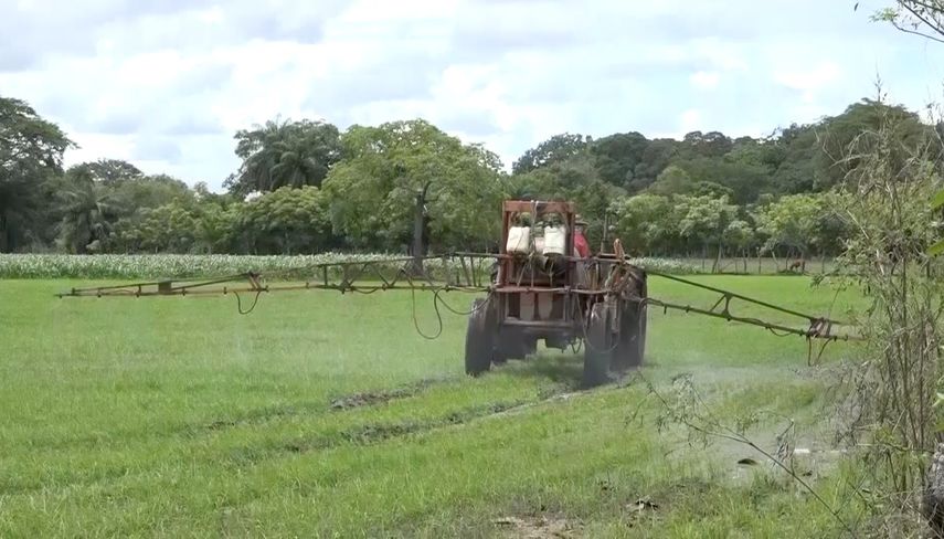 Funcionarios del sector agropecuario son capacitados con las nuevas técnicas del programa Agro Innova en Chiriquí del IDIAP.