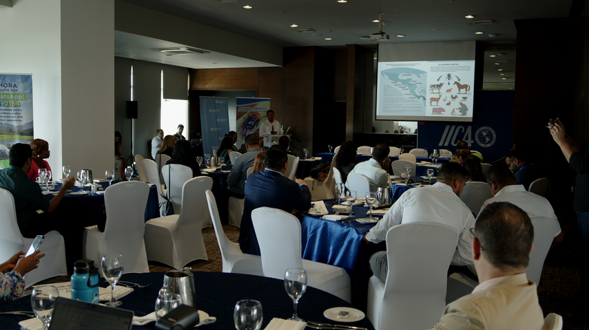 Autoridades en alerta por rebrote de gusano barrenador del ganado