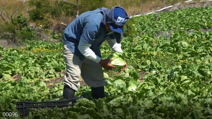 Panamá trabajará con la FAO para crear un hub alimentario