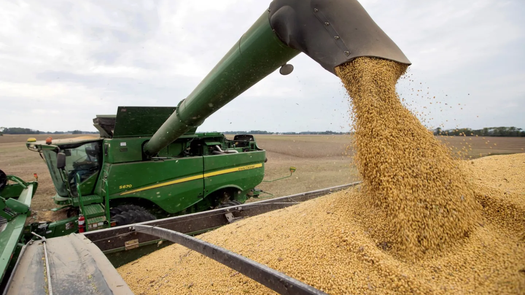 Exportación de soja en Paraguay cae en 1,3 millones de tonelada en primer semestre de 2025