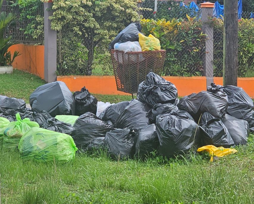 El Minsa advierte que la crisis en la recolección de la basura representa un riesgo potencial para la salud de la población. El Minsa advierte que la crisis en la recolección de la basura representa un riesgo potencial para la salud de la población.