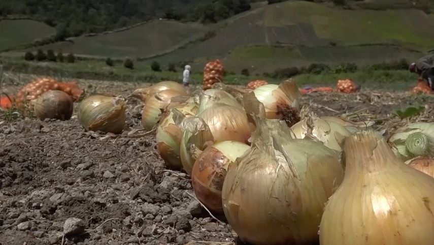 Transportistas anunciaron protestas para el domingo y lunes