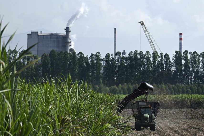 La controversia por el uso obligatorio de gasolina con bioetanol