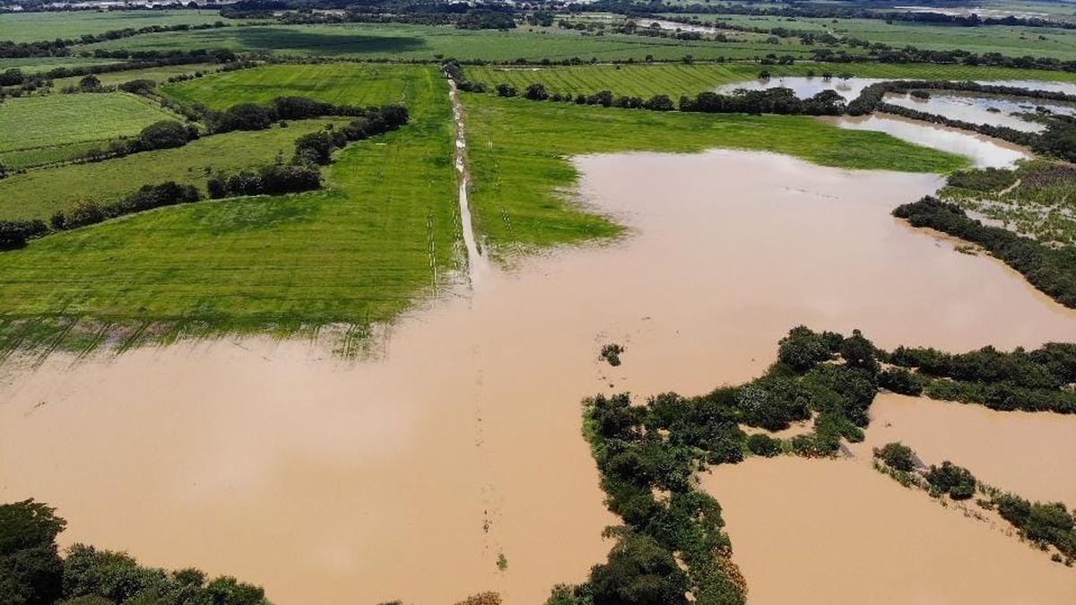 El ISA reitera a los productores nacionales la importancia de asegurar sus inversiones. El ISA reitera a los productores nacionales la importancia de asegurar sus inversiones.