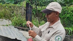 Intensifican operativos para reducir casos de dengue que acumulan 8