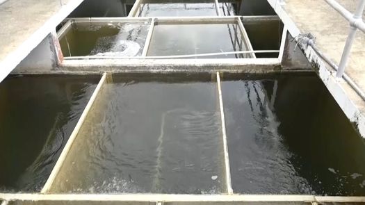 El IDAAN anunció que el servicio de agua potable será interrumpido en los corregimientos de David, David Este, David Sur, Las Lomas, Pedregal, partes de San Carlos; las urbanizaciones Aqualina y Villa Patricia en San Pablo Viejo de David y Los Algarrobos en Dolega.