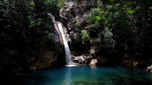 Panamá refuerza legalmente los derechos de la naturaleza