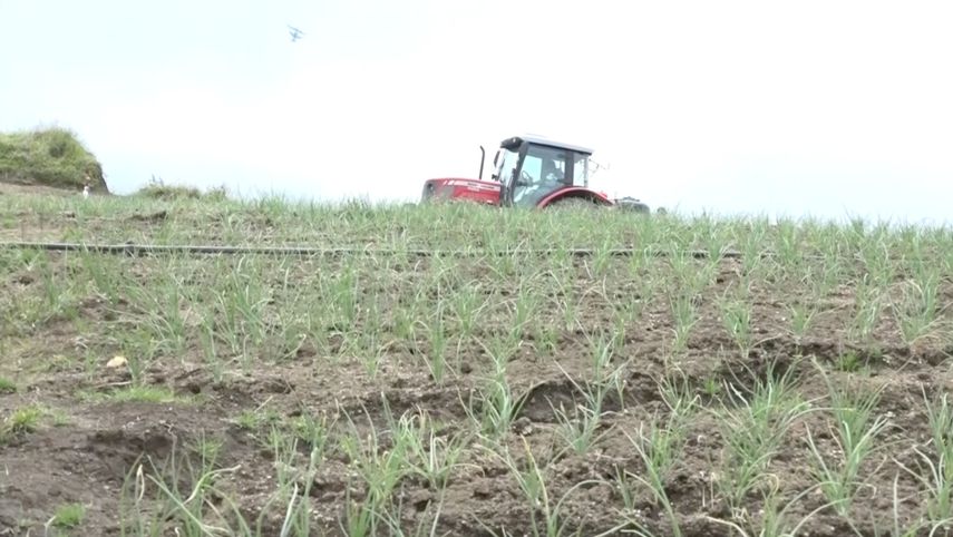 El Mida indicó que para garantizar una seguridad alimentaria es necesario que los productores implementen estrategias y tecnologías que les permita continuar con la producción.&nbsp;