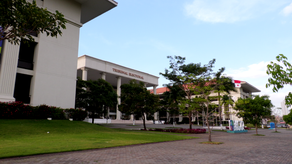 TE utilizará tecnología para garantizar transparencia en las elecciones