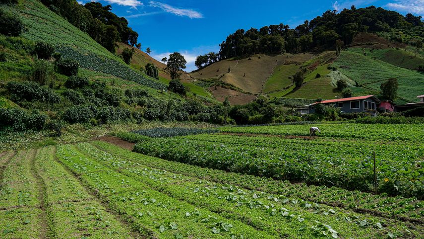 MIDA y ATP coordinan acciones para fortalecer el agroturismo en Panamá