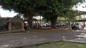 Los organizadores del carnaval de Las Lajas afirman que por la pandemia y cierres de calle se las ha hecho imposible poder recoger fondos para sus actividades.