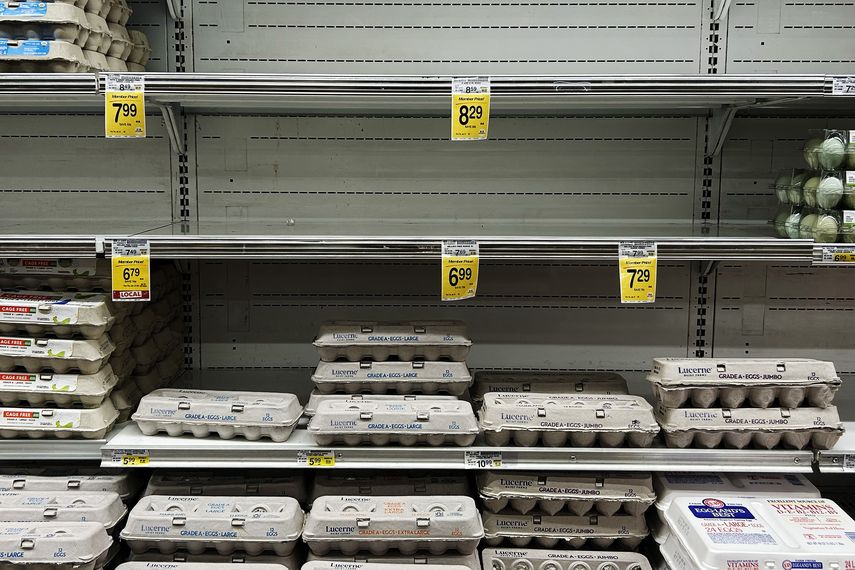 El precio de los huevos sube a máximos históricos en Estados Unidos El precio de los huevos sube a máximos históricos en Estados Unidos