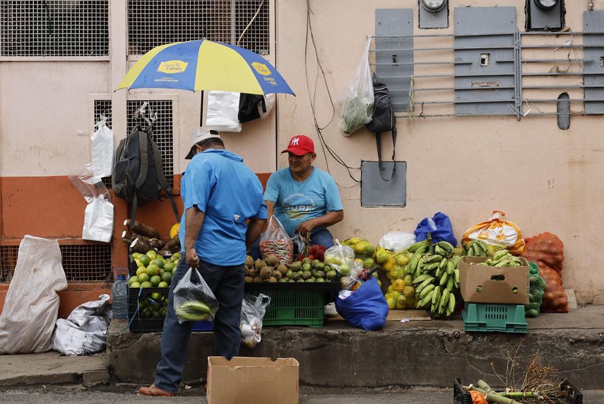 Crecen las empresas, el empleo y los ingresos en Panamá, según nuevos Censos