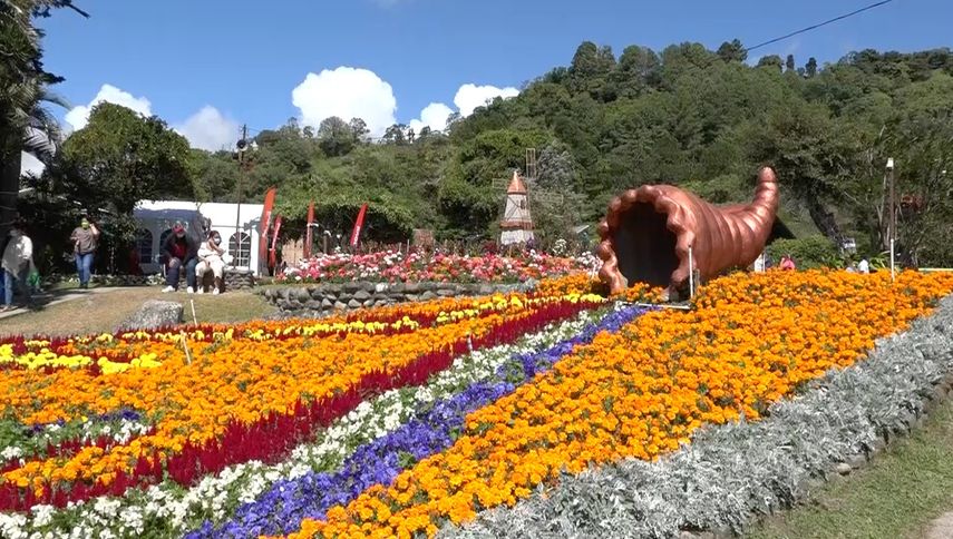 Boquete: Grandes expectativas por Expo Orquídea