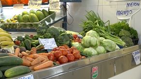 Buscan mejorar ventas en mercado de Cadena de Frío en David