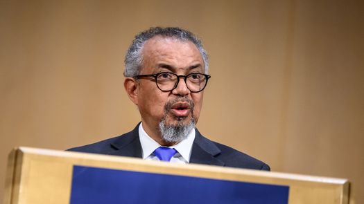 OMS inicia su asamblea anual en medio de las crisis del hantavirus y ébola OMS inicia su asamblea anual en medio de las crisis del hantavirus y ébola