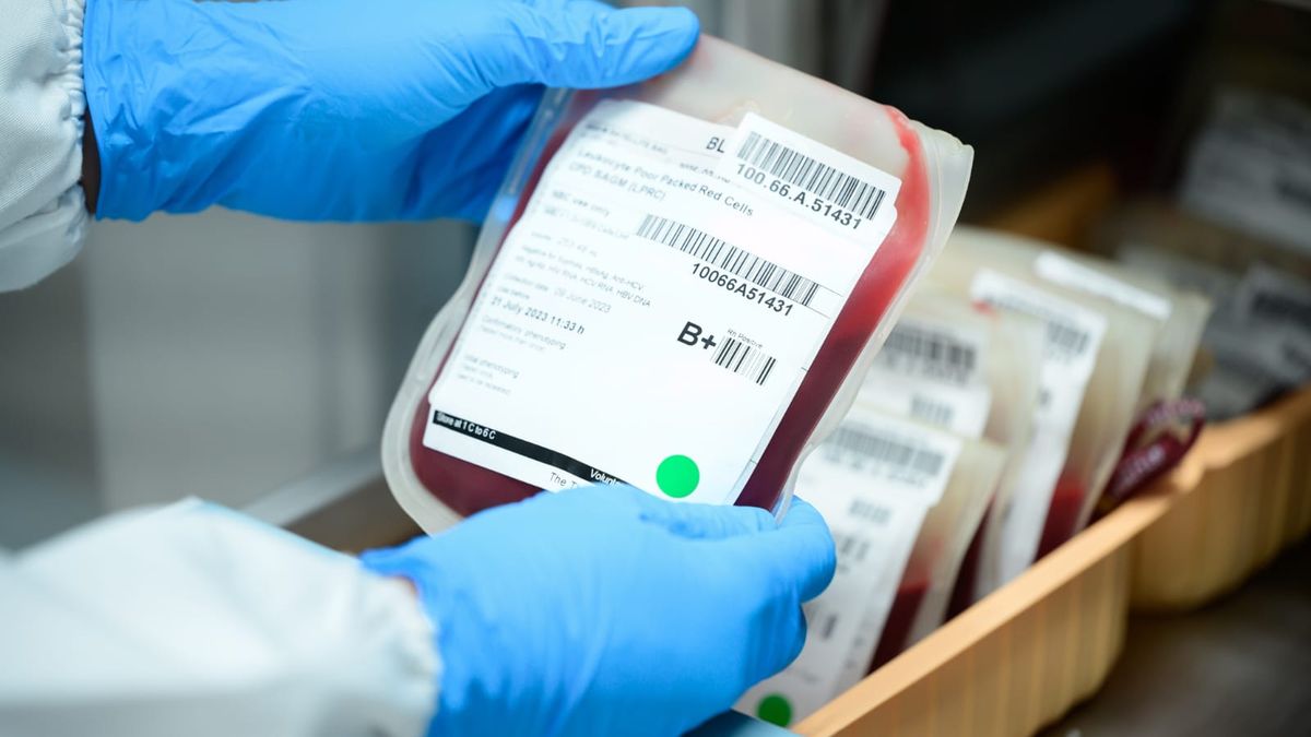 Bancos de sangre en Panamá están por debajo del 40 %: Minsa hace llamado urgente Bancos de sangre en Panamá están por debajo del 40 %: Minsa hace llamado urgente