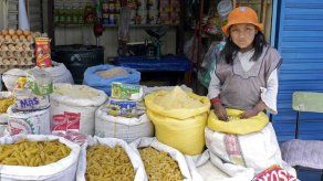 Niños bolivianos defenderán en OIT su trabajo desde 10 años