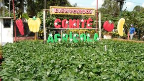 El pabellón agropecuario de la Feria Internacional de David.