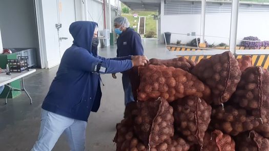 Unos 8 mil quintales de productos de Tierras Altas se mantuvieron dentro del centro post cosecha de la Cadena de Frío en Volcán para ser enviados a Merca Panamá, entre otros puntos.