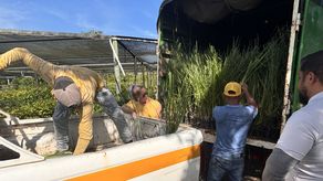 MiAMBIENTE entrega insumos a productores para promover manejo sostenible en cuencas prioritarias del país