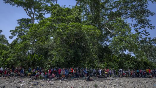 Más de 170 mil migrantes han cruzado la selva del Darién en 2024, la mayoría venezolanos