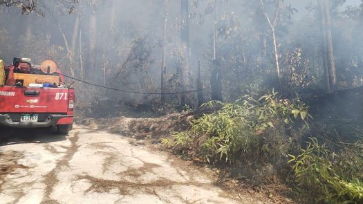 Los bomberos han sido apoyados por miembros del Senan en las labores de extinción del incendio.