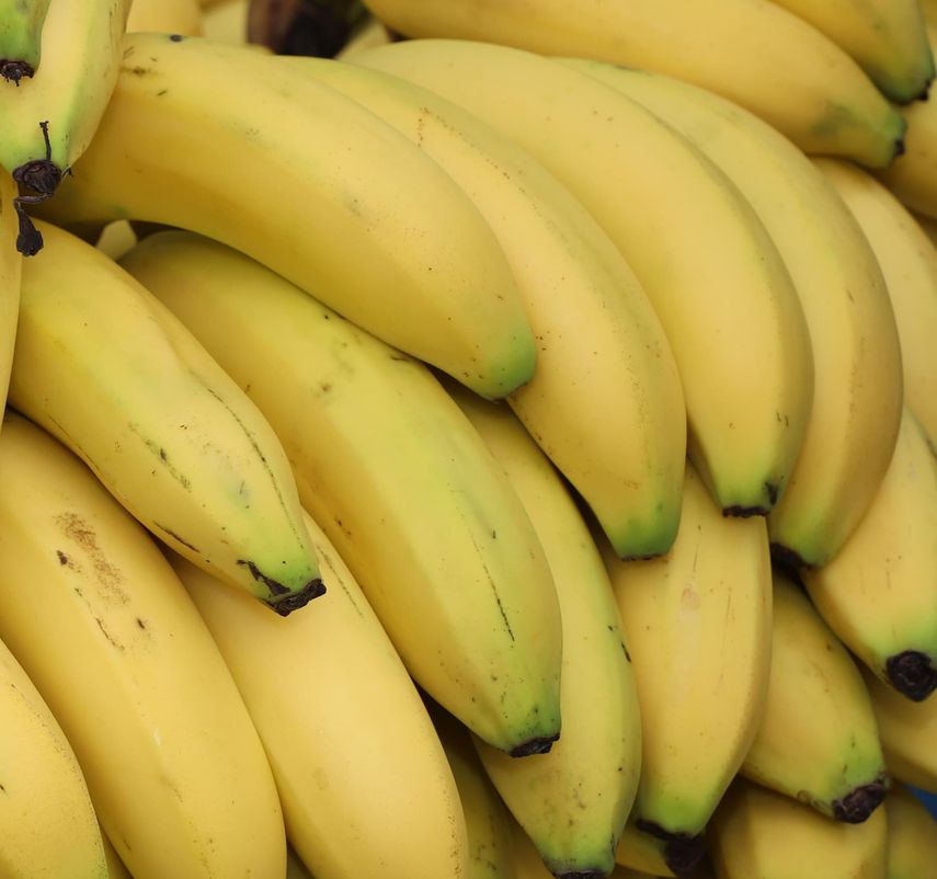 Bananas dominan el comercio de exportación agrícola de Panamá